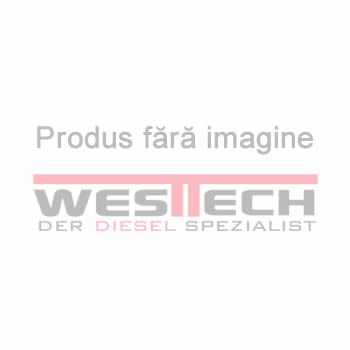 Bosch Injectors for BMW